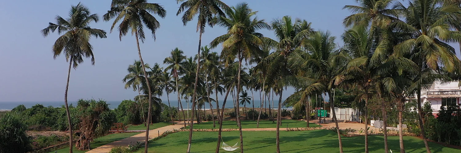 luxury beach villas in morjim goa banner